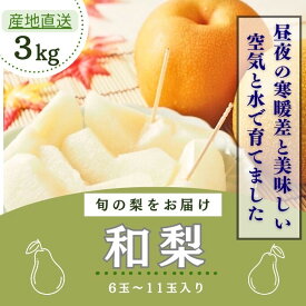 【予約受付中！】梨 豊水 和梨 新興 ギフト 送料無料 フルーツ 秋の味覚 家庭 秋 3kg 5kg 新高 果物 プレゼント 誕生日 ハロウィン 美味しいフルーツ お取り寄せグルメ 旬の果実 希少 保存方法 フルーツギフト 美味しい梨 栄養素 お取り寄せフルーツ おすすめフルーツ