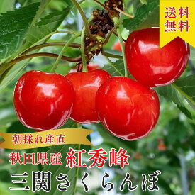 【お買い物マラソン5％割引クーポン券発行中】【朝採れ直送】さくらんぼ 紅秀峰 紅てまり ギフト 秋田 サクランボパック200g 送料無料 三関 さくらんぼ さくらんぼ サクランボ 秋田 三関 チェリー ギフト 家庭用 フルーツ 旬の果物 果物 佐藤錦