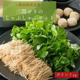 【スーパーセールポイント5倍！エントリー必須】せり鍋 秋田 比内地鶏スープ付 せり鍋セット セリ鍋お取り寄せ 秋田 比内地鶏 レシピ スープ しゃぶしゃぶ 送料無料 秋田 葉しゃぶしゃぶ 野菜しゃぶしゃぶ ギフト ご自宅 家庭 プレゼント お取り寄せグルメ 鍋セット　芹