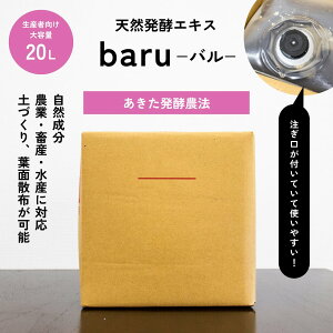 yƖpTCY30OFFE11/25܂ŁzA A͍ y  _ |  K[f _ _Ǝ 엿 y y  _ ƒ؉ v^[؉ SS 