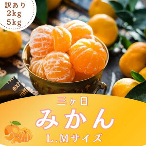 ݂ yzz݂ F{ ݂ Lc݂  2kg 5kg 10kg 󂠂Gt[c É OP݂  ~J  t[c e Ɩp ݂ ~J O