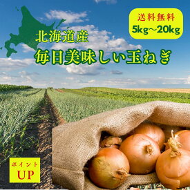 玉ねぎ 20キロ 【送料無料】北海道 Mサイズ たまねぎ タマネギ お歳暮 ギフト 贈答 お供え 御供え玉ねぎ たまねぎ 秀品 20kg 10kg 5kg 玉ねぎ タマネギ 玉葱 晩生 たまねぎ たまねぎ