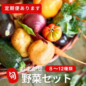 【秋田旬の夏野菜！！】野菜詰め合わせ 野菜セット 野菜BOX 旬 厳選 ギフト お中元 敬老の日 食材 新鮮 産地直送 人気商品 ルメ 季節 8品 から12品 野菜詰合わせ おまかせ 送料無料 秋田 東北