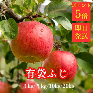 󂠂  Tӂ 󂠂 10kg ƒp ь ӂ 5kg 3kg   󂠂 5kg   ʕ St[cMtg  SW[X  Zbg X Hc 