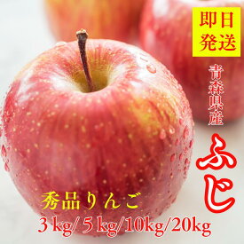 【お買い物マラソン5％割引クーポン券発行中】クール便発送中】りんご サンふじ 10kg 送料無 りんご フジ 青森 秋田 リンゴ酢 お得 美味しい 林檎 フルーツ 果物 リンゴ フルーツギフト コンポート リンゴジュース セット りんご 10kg 5kg 3kg お取り寄
