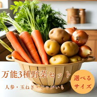 【ポイント2倍】野菜セット じゃがいも ニンジン 玉ねぎ 3点セット【送料無料】旬の国産じゃがいも・人参…