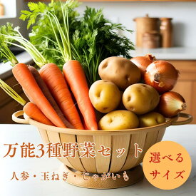 【お買い物マラソン5％割引クーポン券発行中】野菜セット じゃがいも ニンジン 玉ねぎ 3点セット【送料無料】旬の国産じゃがいも・人参・玉ねぎセット◆プロ厳選の定番野菜3種◆カレー・シチュー・肉じゃがに最適な常備野菜詰め合わせ