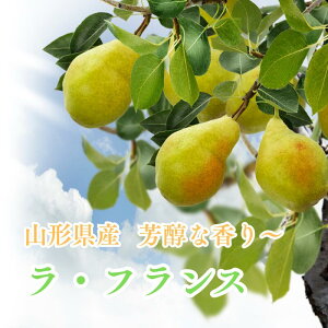 tX R` m R` 󂠂 Ƃ낯H×FȊÂ Ǐnς݂ŐH׍͂ EƒpɍœK Ƃ낯mȄ 