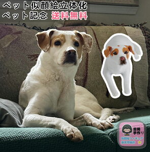 yI[_[zʐ^鎗GtBMA ybgLO ybgG v[g j 蕨  Mtg  L  a  D e 摜 {  Č Hc 