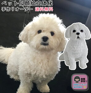 ytBMA ybg zybgʐ^̉tBMA ybgLO ybgG v[g j 蕨  Mtg  L  a  D e 摜 {  Č H