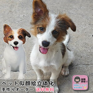 yybgʐ^̉tBMAz ybgI[_[ChtBMA ybǧ` j ybgLO 蕨  Mtg  L   L D 3Dybg` e gCEv[h 