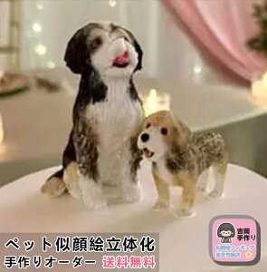 ybgG̉ ʐ^̉tBMA v[g ybgObY ybgI[_[ChtBMA ybǧ` j ybgLO 蕨  Mtg  L   L D 3D