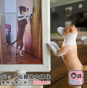 ybgG ʐ^̉tBMA ybgI[_[ChtBMA ybǧ` ybgLO a j 蕨  Mtg  L   L D 3Dybg` e gCE