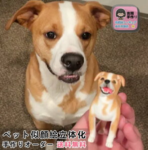 yybgʐ^̉zEň̎tBMA Ľ` { ݂ɂ Wpj[Y{ueC XReBbVtH[h錢LΉ