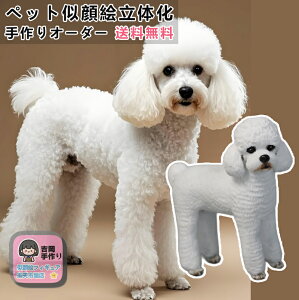yvElɂzybgʐ^̉tBMAX Wpj[Y{ueC Hc ` }`JȂǕLΉ ` e ݂炨jMtg܂ ؂ȉƑ̈