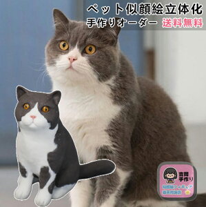 yybgLOMtgzybgI[_[ChtBMA EL̎ʐ^3D̉ ČEHcEXReBbVtH[hȂ {pE`E݂炨j܂ŕLΉ