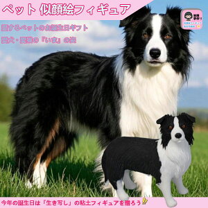 ybg G̉ v[g ybgI[_[ChtBMA ybǧ` j ybgLO 蕨  Mtg  L   L D 3Dybg` e gC v[h Č