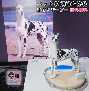 yybg G̉zS  LtBMA v[g ybgI[_[ChtBMA ybǧ` j ybgLO 蕨  Mtg  L   L D 