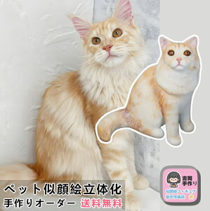 yybg G̉z ybgI[_[ChtBMA ybǧ` j ybgLO 蕨  Mtg  L   L D 3Dybg` e gC v[h Č `