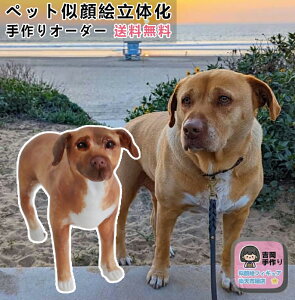 ybgG̉ybgI[_[ChtBMA ybǧ` j ybgLO Č Hc gCv[h Wpj[Y{ueC ݂˂ XReBbVtH[h 蕨 