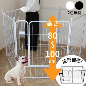 ybg T[N hbOT[N ^ 100~80  O  L ^ ^ ^ pj nC^Cv 傫 p ܂ ܂肽 hAt