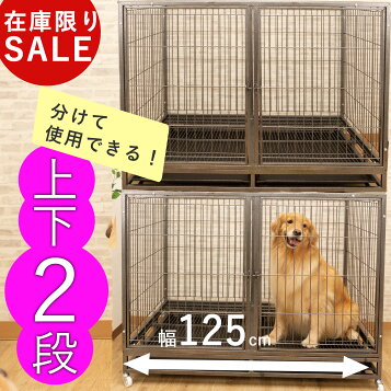 楽天市場】【業務用・店舗用犬舎】【サロン 動物病院専用犬舎 ケージ 