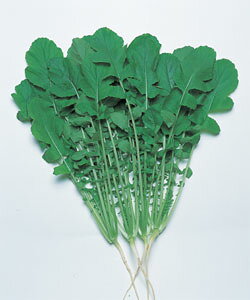 tY@t卪q@30mly^LC̃^lzyt卪z