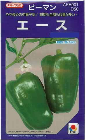 楽天市場 エース ピーマン種 1000粒 ピーマン種子 ピーマン種 タキイのタネ 野菜の種 吉谷農芸 楽天市場店