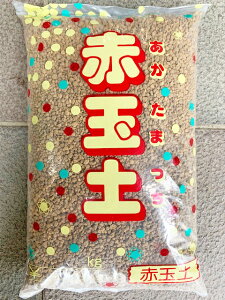 Ȗ،Y@ԋʓy@5L@@Iׂi@j