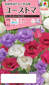 ԃ^l@NL300 [Xg} F1 p[eB~bNX  [FRS893]yԂ̎zy^LC̃^lzyK[fjOz