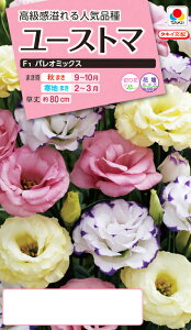 ԃ^l@NL300 [Xg} F1 pI~bNX  [FRS750]yԂ̎zy^LC̃^lzyK[fjOz