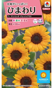 �Ԏ�@NL300 �Ђ܂��F1�T�����b�`(R) �o�����V�A50 ���� [FHM459]�y�^�L�C�̃^�l�z�y�K�[�f�j���O�z