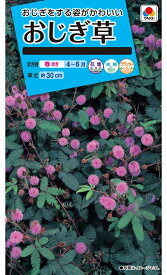 花種　NL150 おじぎ草 　小袋 [FZZ151]【花の種】【タキイのタネ】【ガーデニング】