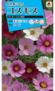 Ԏ@NL150 RXX ZZ[V  [FCS110]yԂ̎zy^LC̃^lzyK[fjOz