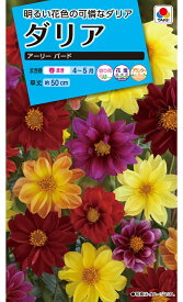 花種　NL150 ダリア　アーリーバード　小袋 [FDR130]【花の種】【タキイのタネ】【ガーデニング】