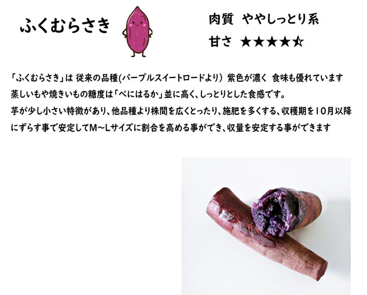 楽天市場】【2024年 予約商品】ふくむらさき 紫芋 10本 サツマイモ切り 
