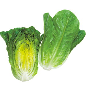 }A@^Xq@ybg5000@_ȓo^i@(i햼@TLE487jy؎qz@y^LCczy^X̎z