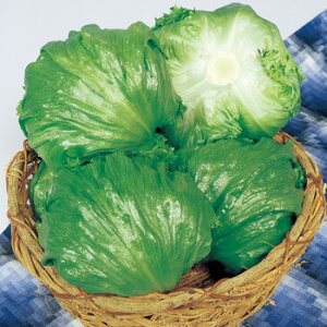 VXR@^Xq@ybg5000@y؎qz@y^LCczy^X̎z