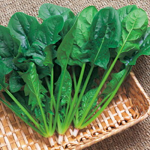 ٓVہ@zE\Eq@27ml@y؎qzy^LCzzy@@̎z