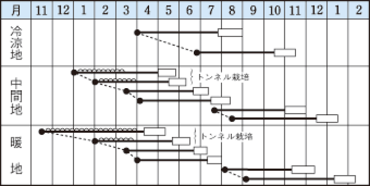 楽天市場】ニンジン 向陽2号 【人参】【タキイ交配】【作り