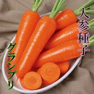 黒 ニンジン 種の通販 価格比較 価格 Com