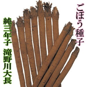 ڂ@ONq咷@9ml@܎q@y^LCczy؎qz