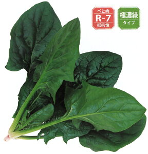 zE\E@~[W@@PRIMAXq@ޒaϕa@tAāAHpzE\E@@L20000@M30000