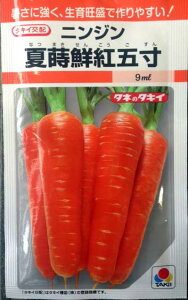 jWq@ĎNgܐ@8ml@܎q@y^LCczylQ̎zy؎qz