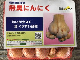 楽天市場 ニンニク種の通販