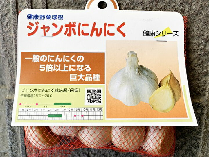楽天市場 ジャンボニンニク種 種にんにく リンペン5球 ジャンボニンニク 吉谷農芸 楽天市場店