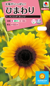 Ԏ@NL300 Ђ܂ F1 Tb` IW  [FHM512]yԂ̎zy^LC̃^lzyK[fjOz
