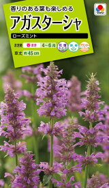 花種　NL200 アガスターシャ ローズミント 小袋 [FATA03]【花の種】【タキイのタネ】【ガーデニング】