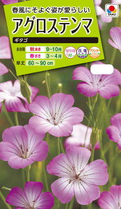 Ԏ@ NL200 AOXe} M^S  [FZZ437]yԂ̎zy^LC̃^lzyK[fjOz