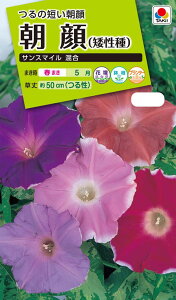 �Ԏ�@NL200 ���� �i�␫��j �T���X�}�C�� ���� ���� [FAA430]�y�Ԃ̎�z�y�^�L�C�̃^�l�z�y�K�[�f�j���O�z